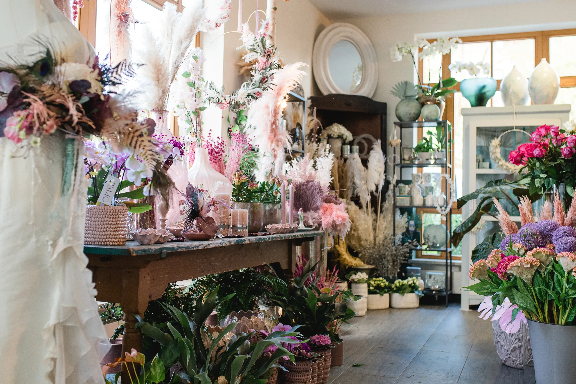Blick in den Laden mit Pampasgras, Trockenblumen und Topfpflanzen