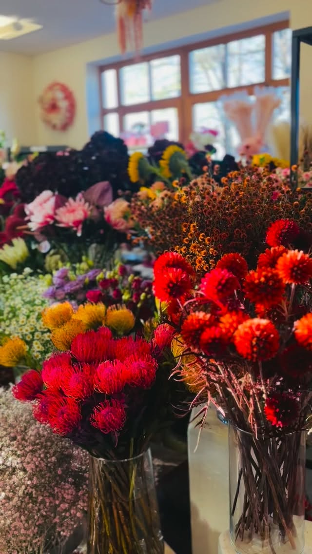 flower therapy in full bloom